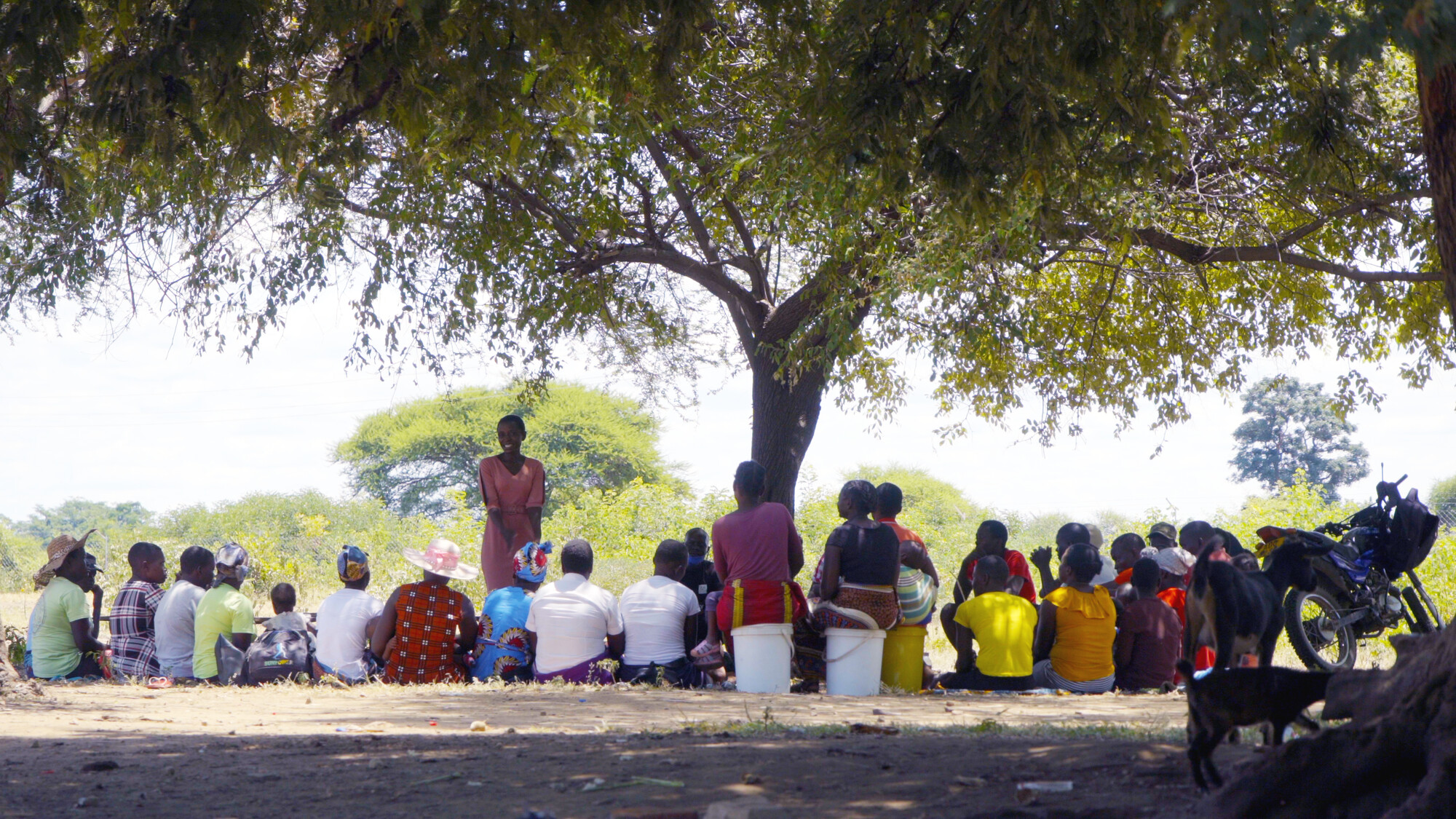 Speak it Loud - VSO project in Zimbabwe