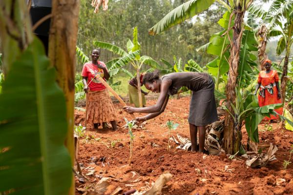 Leden van de Fronteer Group verbouwen groenten op een bananenplantage om hun gewassen weerbaarder tegen de droogte te maken. 