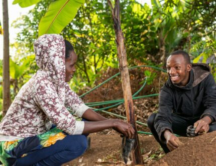 Jongeren in Kenia verbouwen gewassen. Credits: Paul Wambugu/ Obscuramed
