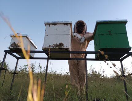 Volunteer Emeka from Finland providing training to local communities on beekeeping