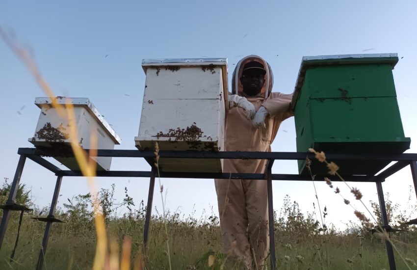 Volunteer Emeka from Finland providing training to local communities on beekeeping